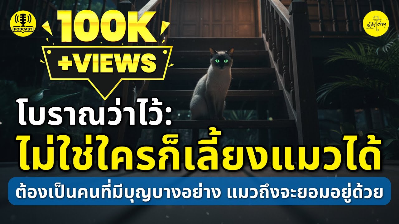 โบราณว่าไว้: ไม่ใช่ใคร ๆ ก็เลี้ยงแมวได้ ต้องเป็นคนที่มีบุญบางอย่างถึงแมวจะยอมอยู่ด้วย | เข้าใจง่ายๆ