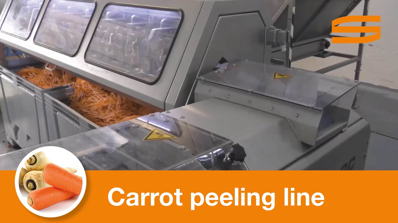 Carrot peeling line (large) - Sormac