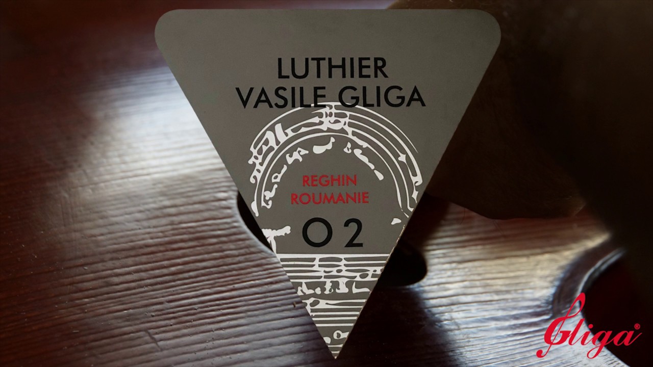 The ViolinMaker Vasile GLIGA - &ldquo;Creator of Craftsmanship&rdquo;