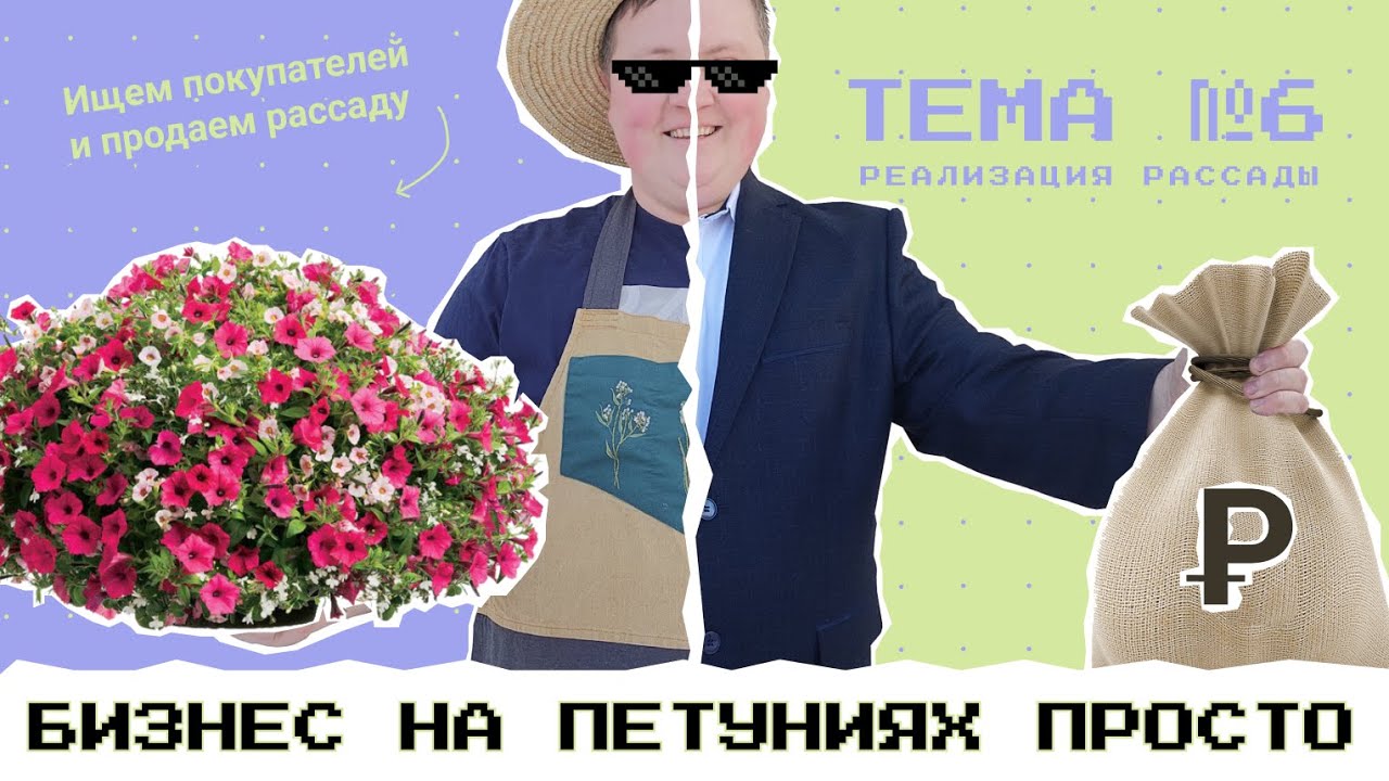 СКОЛЬКО СТОЯТ ТРУДЫ И КАК ИХ ОЦЕНИТЬ | ТЕМА №6 БИЗНЕС НА ПЕТУНИЯХ ПРОСТО | БОРИС БОРИСОВ