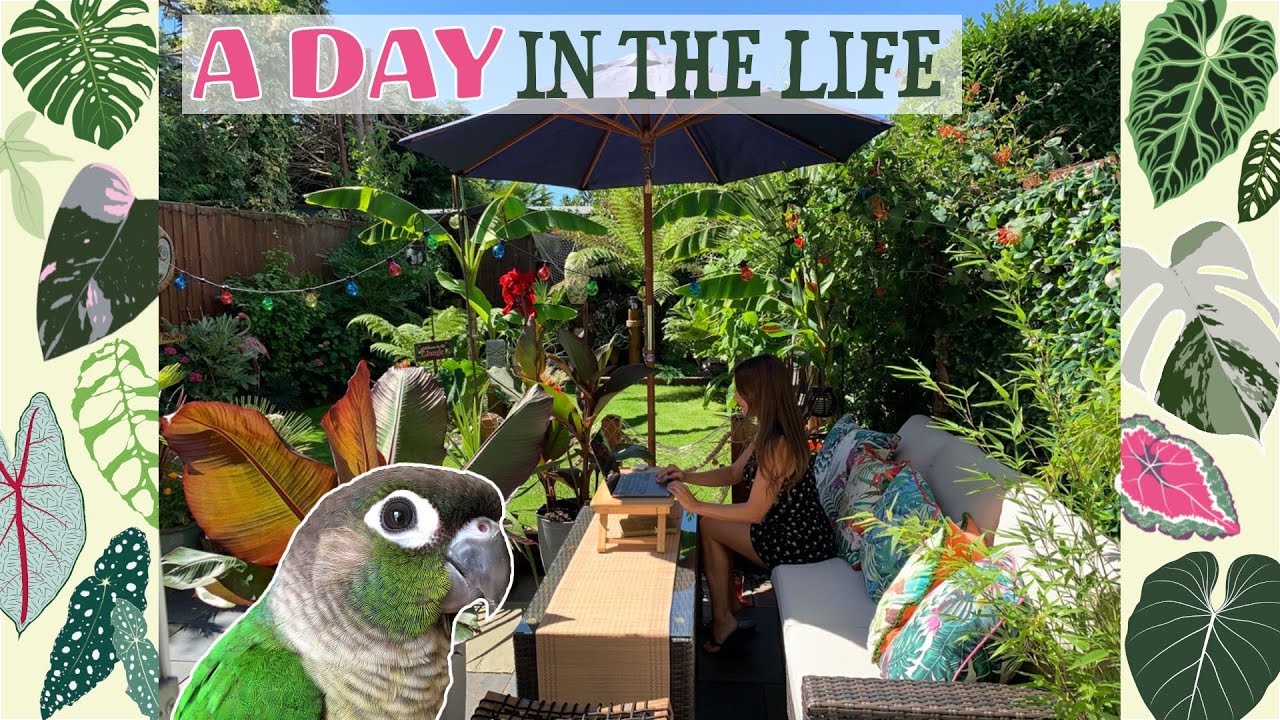 Plant Care 🌿 My Pets 🐥🦜🐠 Tropical Garden  🌺🏝🍹🦩🍍
