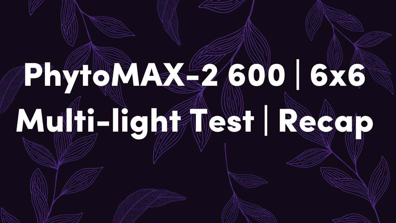 6x6 | PhytoMAX-2 600 | Multi-light Test | Recap