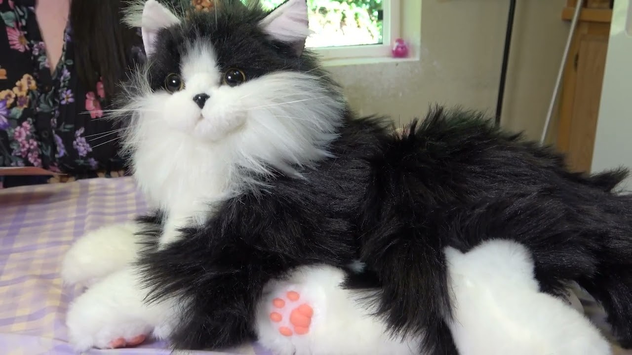 Chongker Interactive Robot Cat Stuffed Animal Percy
