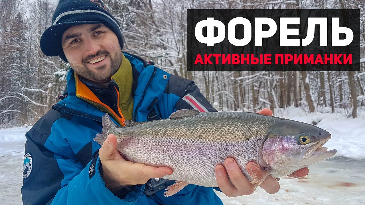 Форель на ВИБы. Ловля на платном пруду. Клевое место.