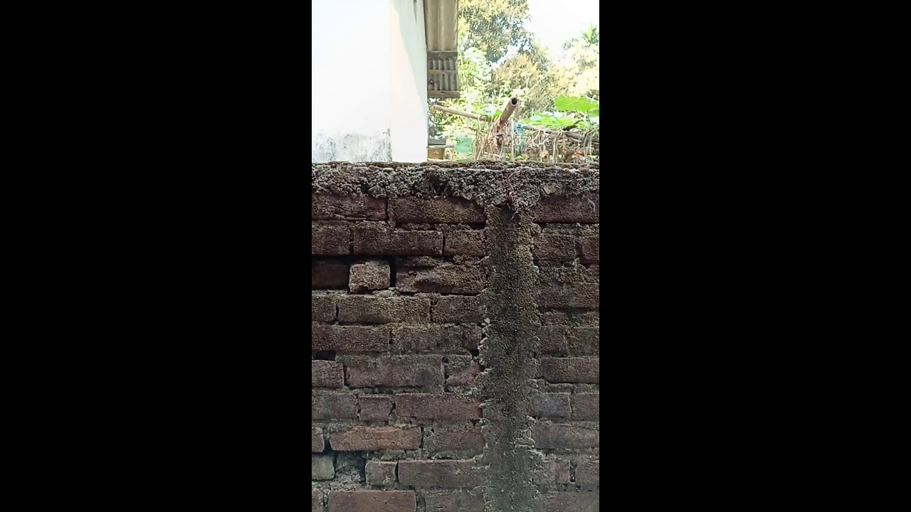 Dipti barman Roy is live!