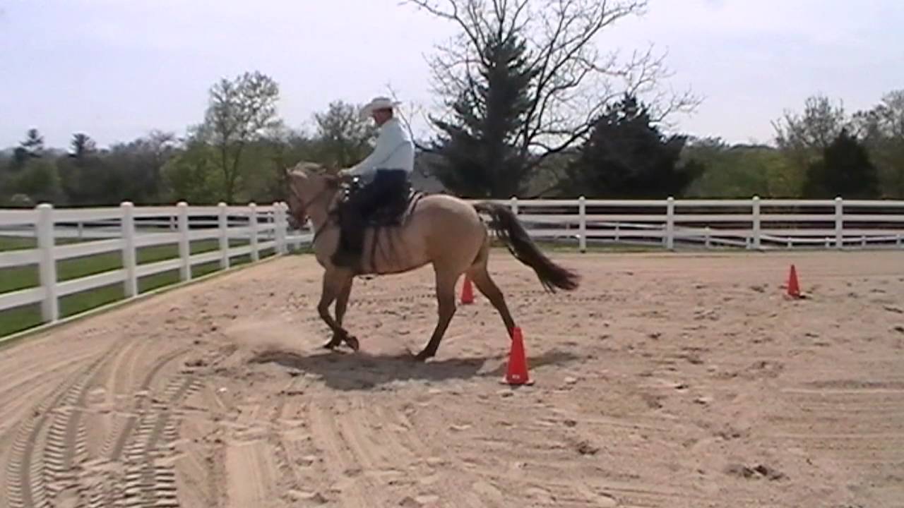 Dennis Cappel:The Clear Mental Picture---Driving a horse from behind