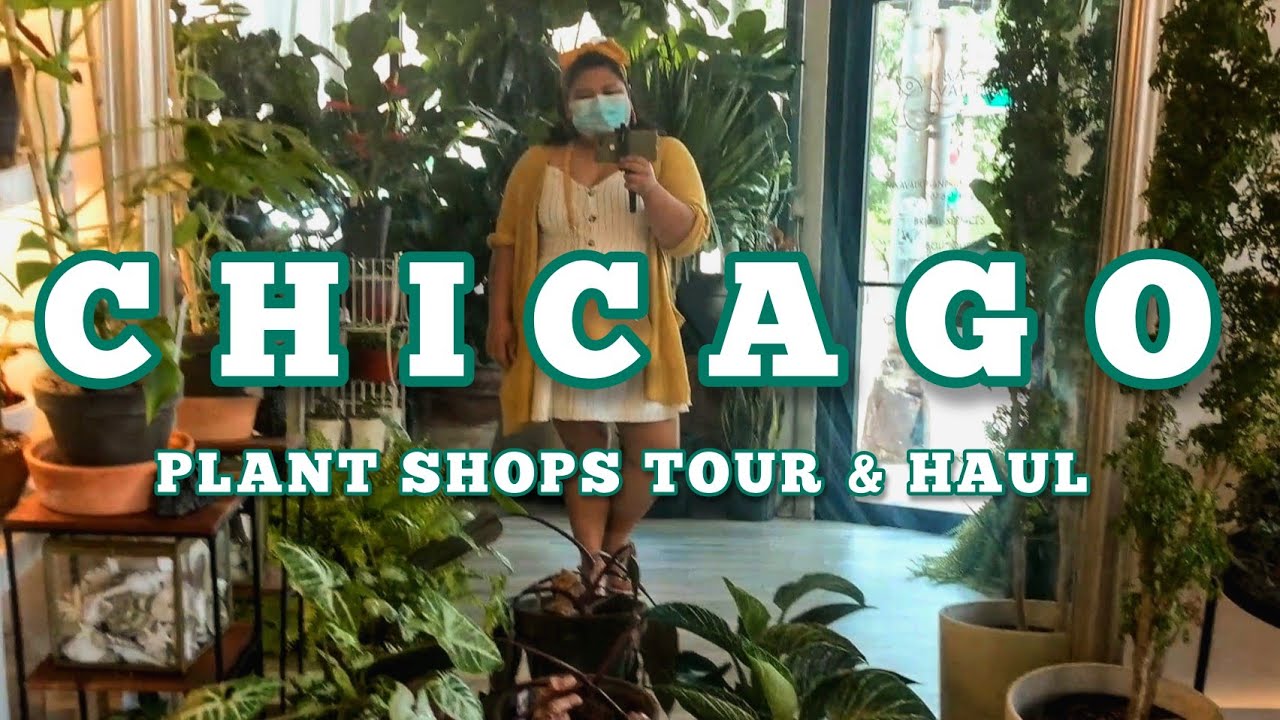 CHICAGO PLANT SHOP WITH ME & PLANT HAUL feat. The Plantier & The Plant Salon | @withMarianneB