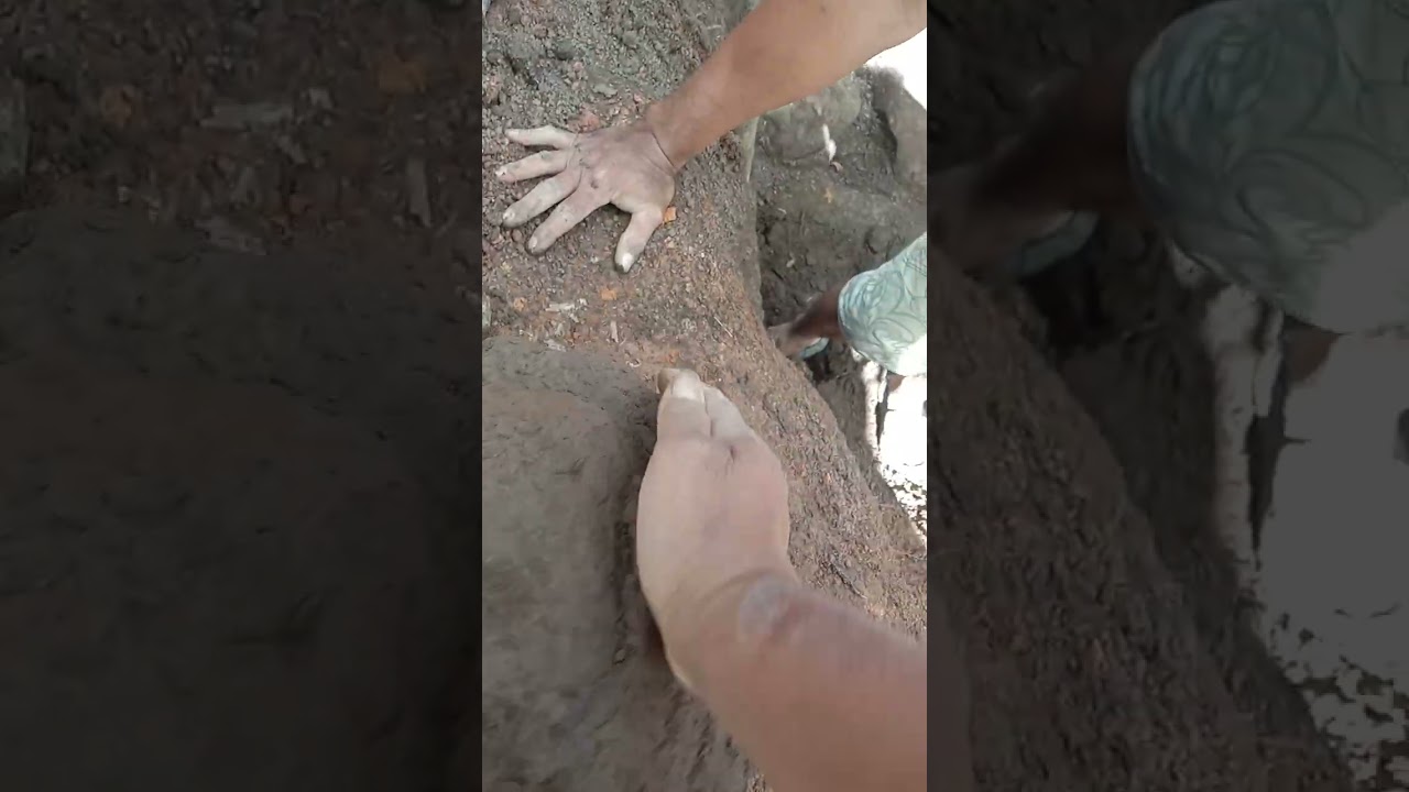 Turtle 🐢 og mga bilog na nga bato sa Surface marker