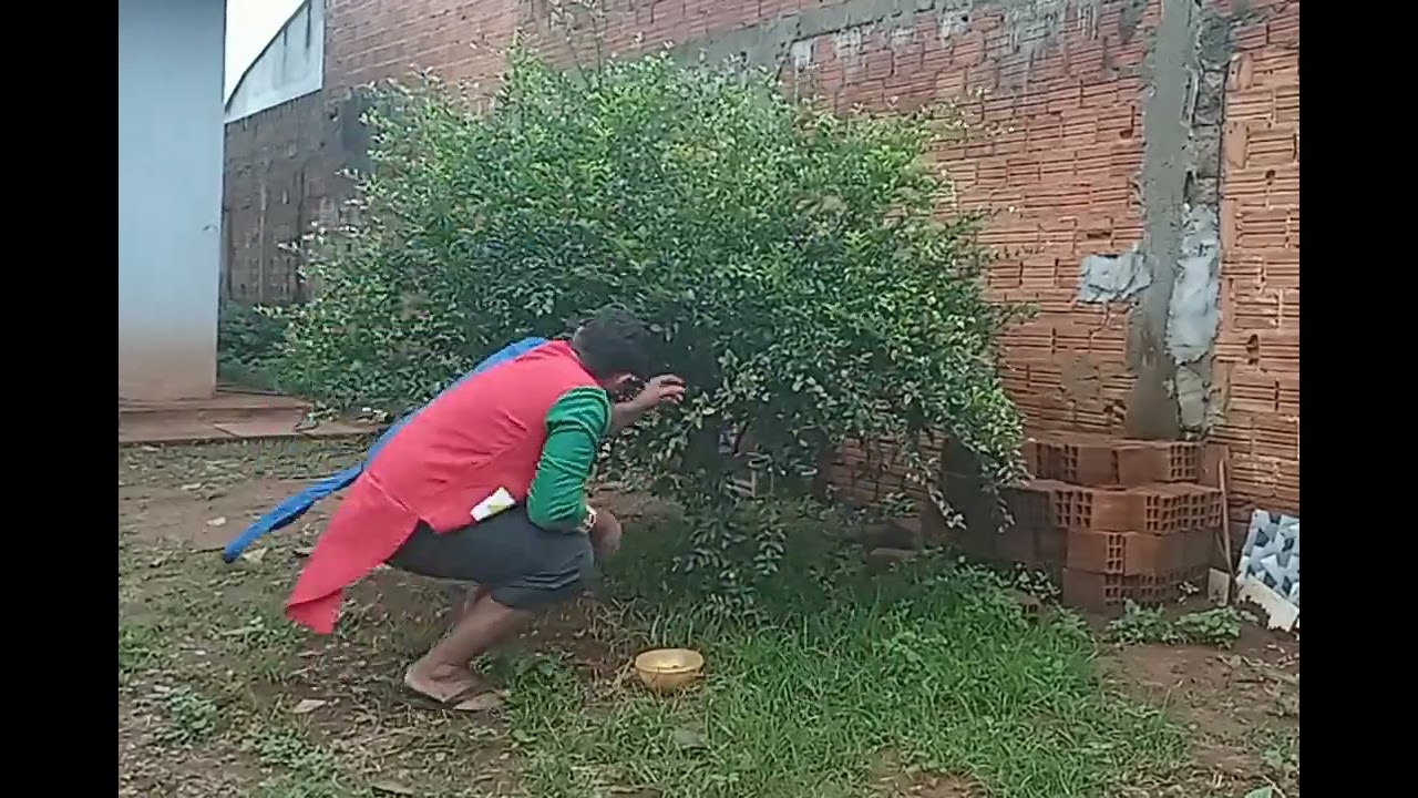 Colhendo Acerolas Fresquinhas: Um Momento da Rotina 🍒🌳