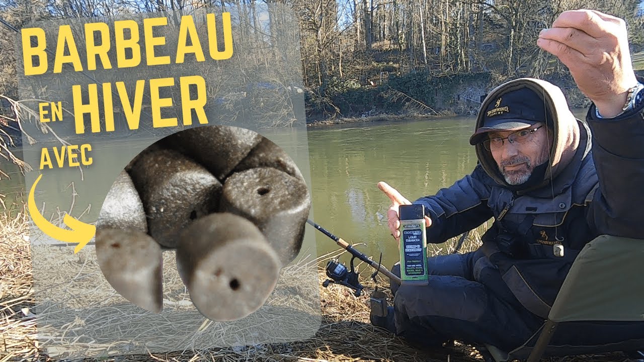 Que vaut le Pellet Halibut dans une eau à 4°C ?