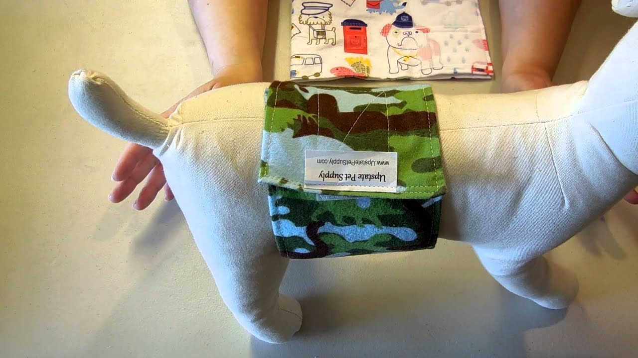 Dog Belly Bands vs. Strap Bands