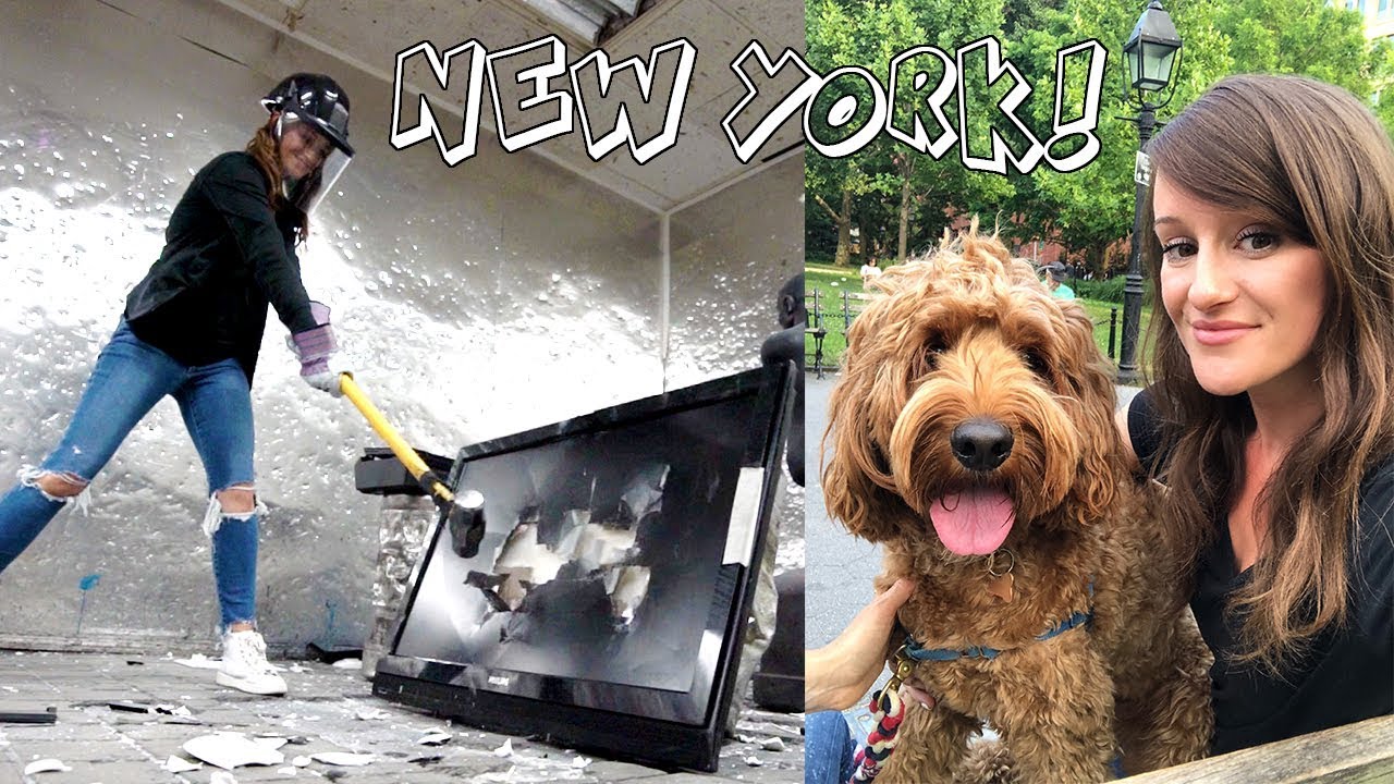 SMASHING ELECTRONICS & MEETING SHERMAN!!!