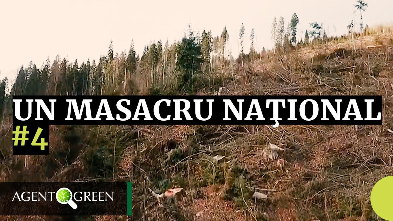 UN MASACRU NAŢIONAL #ep4 Parcul National Calimani