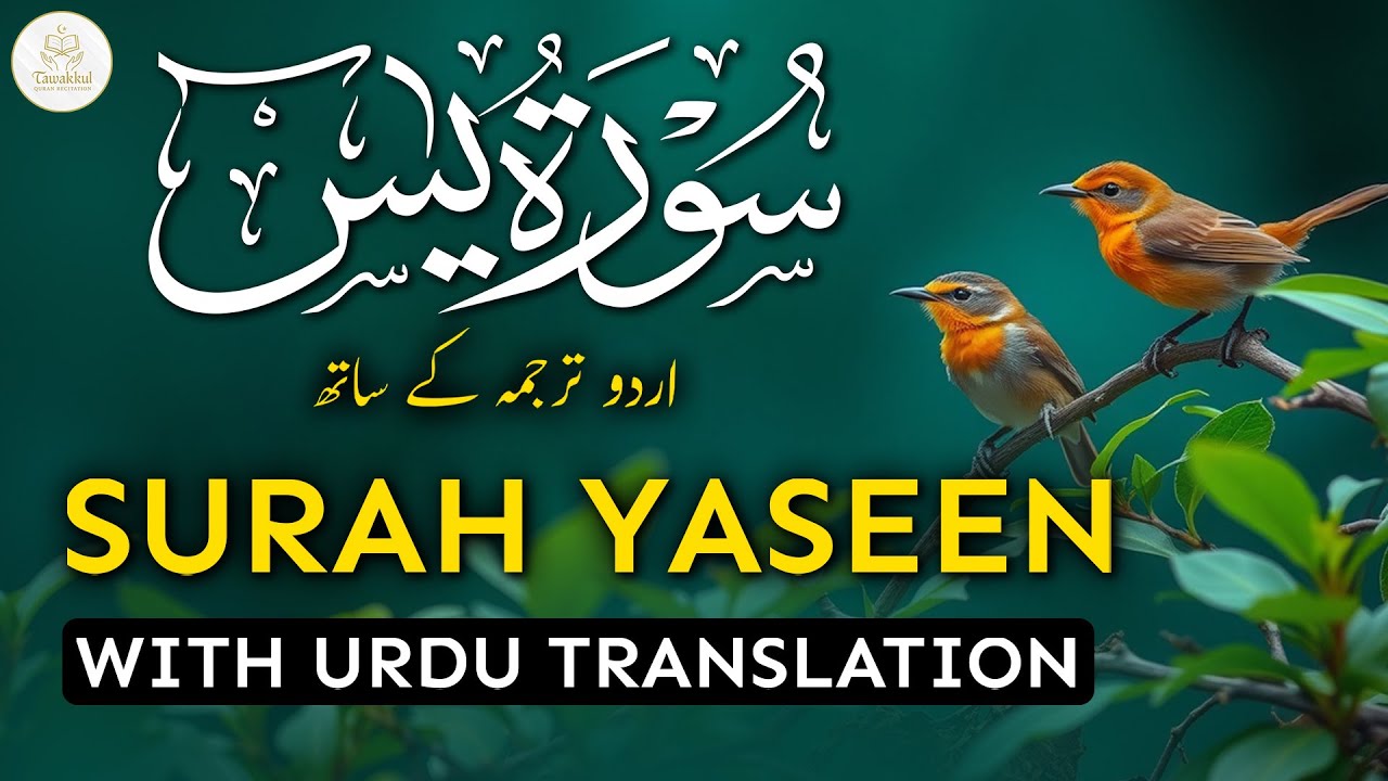 Surah Yasin | Surat Yaseen with Urdu Translation | Quran Tilawat Beautiful Voice | Hindi Tarjuma