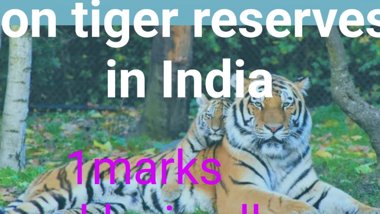 Tiger reserves of India #ssc #gd #mts #aedo 
