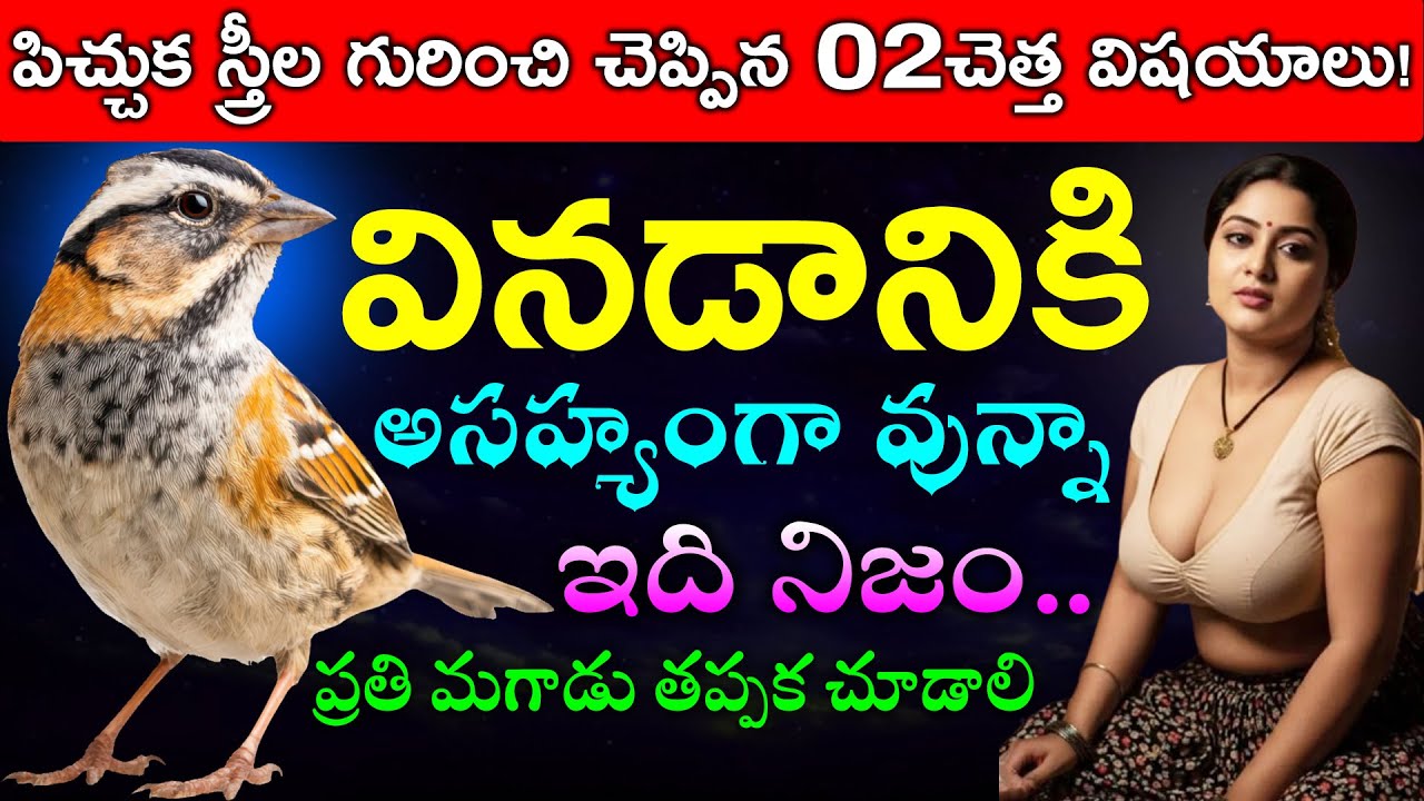 పిచ్చుక స్త్రీల గురించి చెప్పిన 2చెత్త విషయాలు!వినడానికి అసహ్యంగా వున్నా ఇది నిజం..ప్రతి మగడు