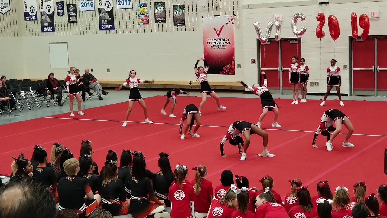 Dr. Donald Massey Maverick VIC's 2019 competition