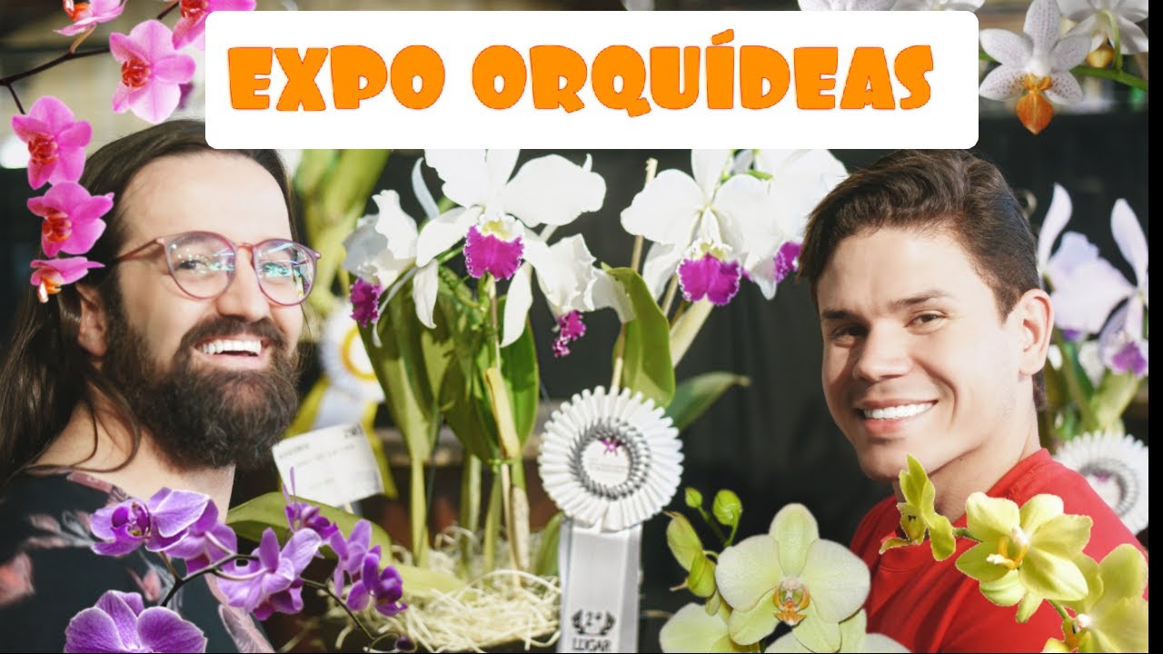 Exposição de Orquideas - floração de orquideas Marcos Junior Orquídeas