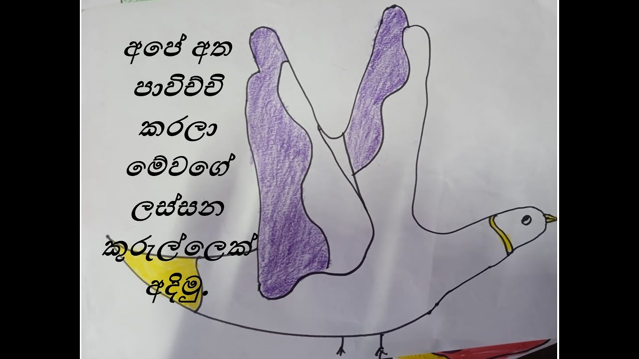How to draw a bird using our hand  |  In Sinhala  |  Tech Gavesh SL