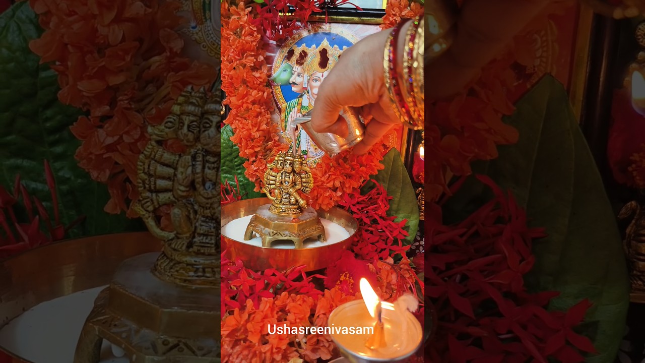 anjaneya swami ki abhishekam..🙏🙏namo Anjaneyam..#hanuman #abhishekam #ushasreenivasam