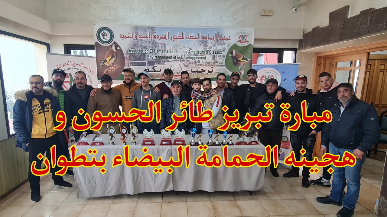 أجواء مبارة تبريز طائر الحسون و هجينه لجمعية الحمامة البيضاء بتطوان 20 MARS 2022