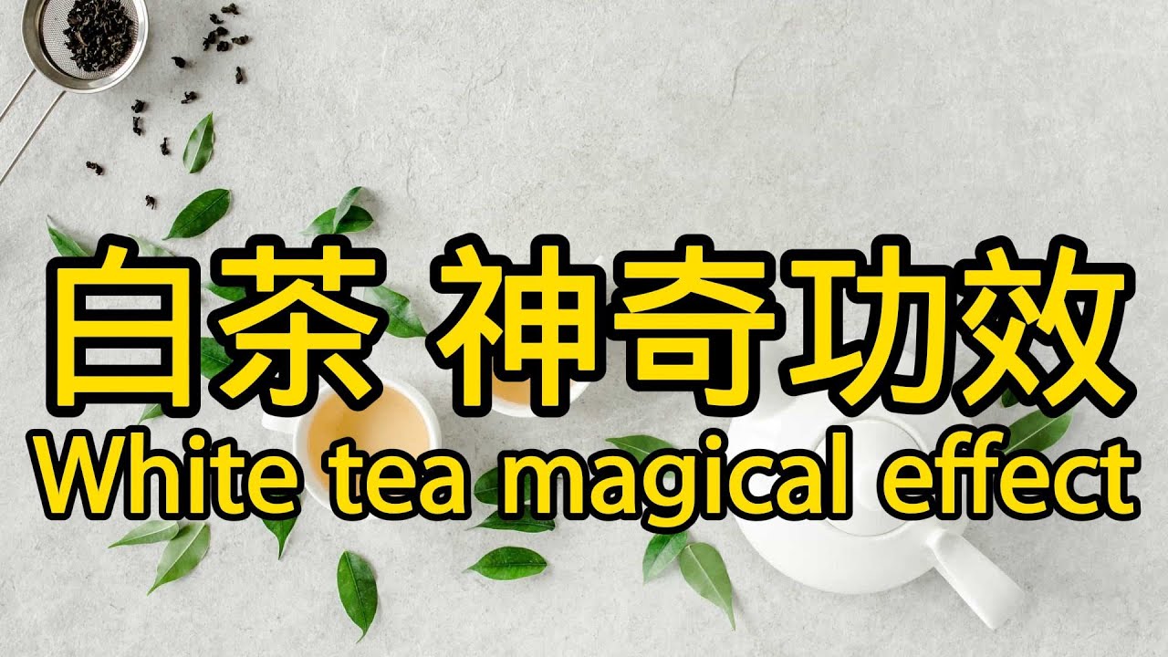 白茶有哪些神奇的功效與作用？What are the magical effects and functions of white tea?