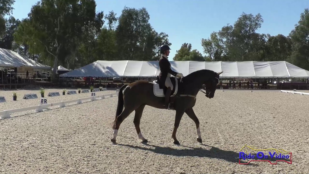 011D Stephanie Goodman on Drs Resolute CCI3* Long Dressage Galway Downs Oct. 2020