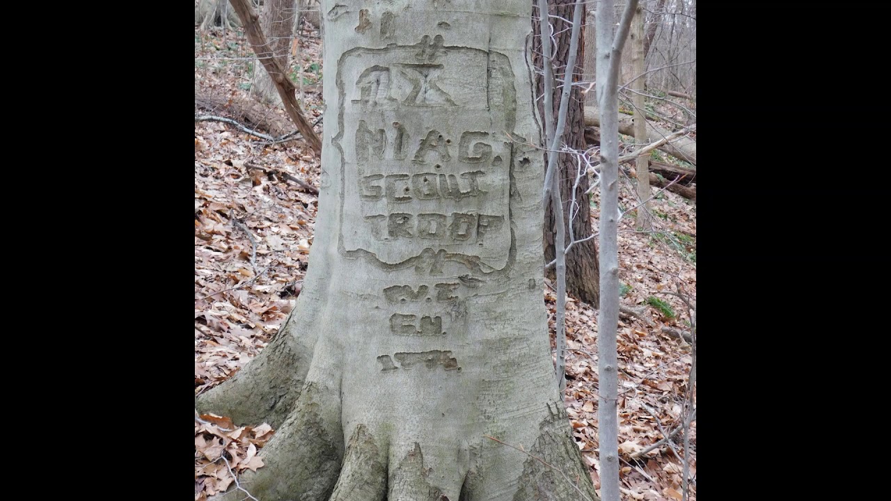 Firemans Park Side Trail