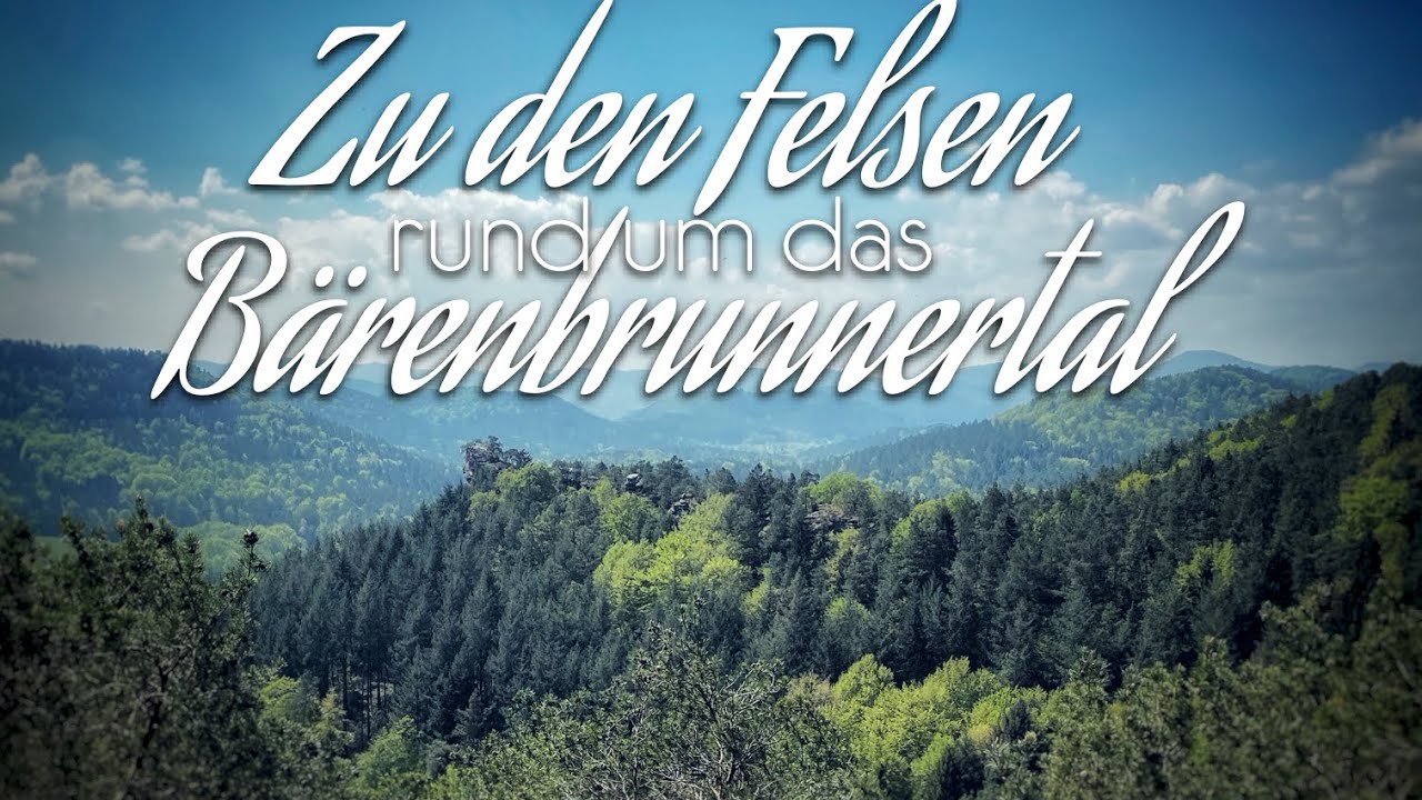 Wanderung zu den Felsen rund um das Bärenbrunnertal | Wandern in der Pfalz