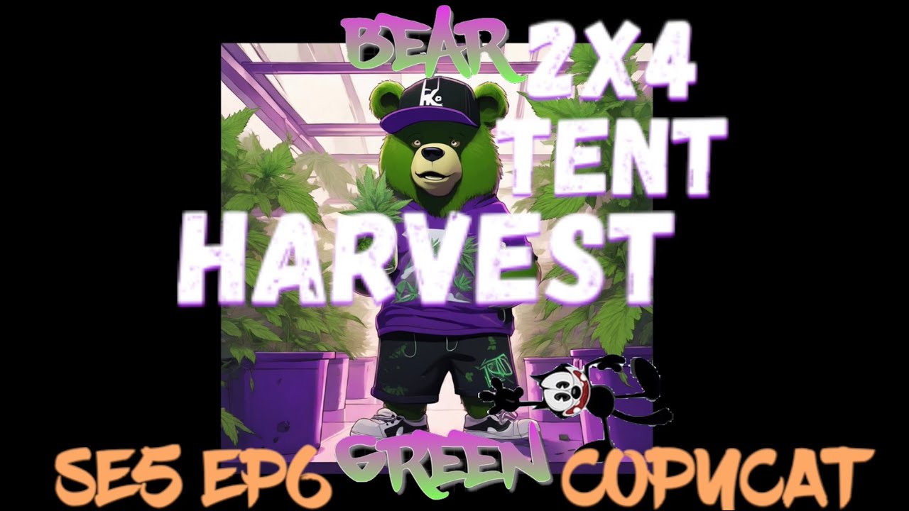 Copycat Genetix Harvest Time SE5 EP6