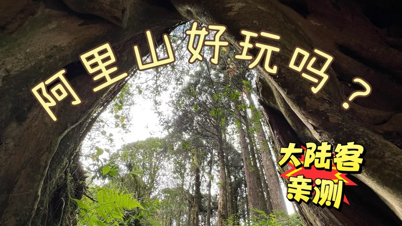 【臺灣EP13】大陸客首次台灣行，阿里山好玩嗎？體驗阿里山小火車、神怡瀑布，森林浴 #台灣阿里山 #taiwantravel #taiwanfood #taiwan #museum #alishan