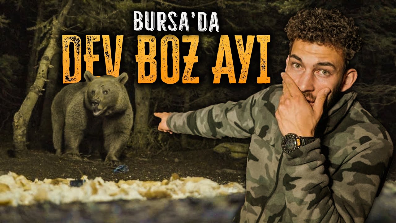 BURSA ULUDAĞ'DA AYILARLA BİR GECE GE&Ccedil;İRMEK! (ŞEHİT SİNAN ATEŞ İLE BİRLİKTE)