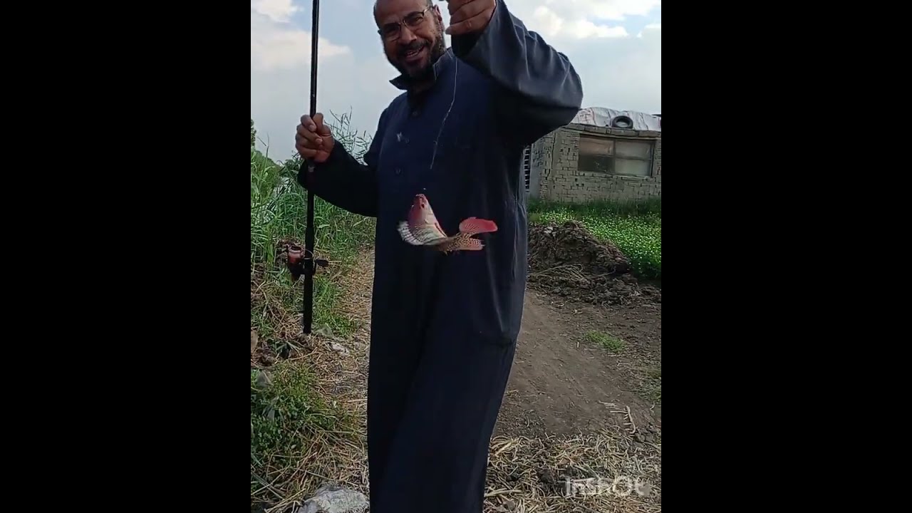 صيد بالغله