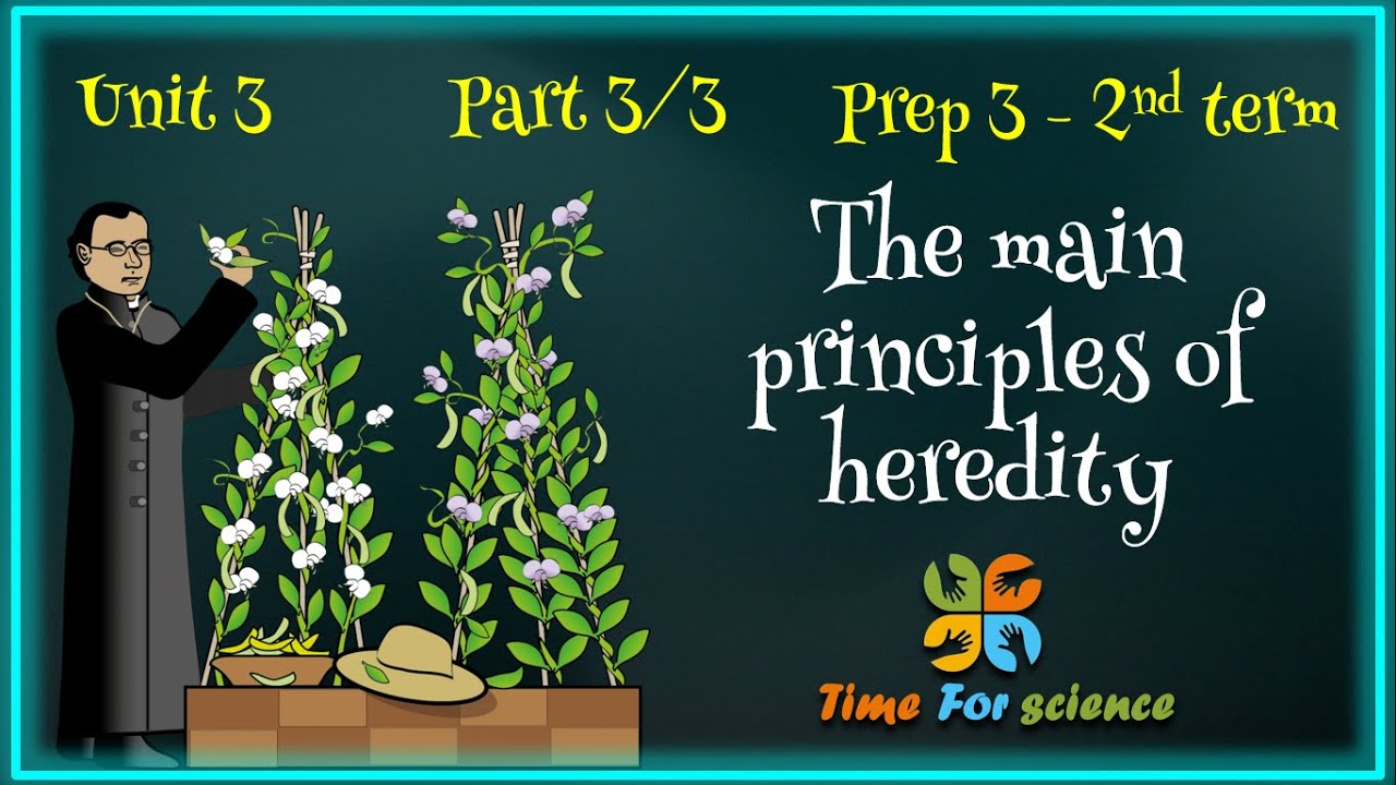Prep3-unit3-the lesson-part3/3  (the main principles of heredity)