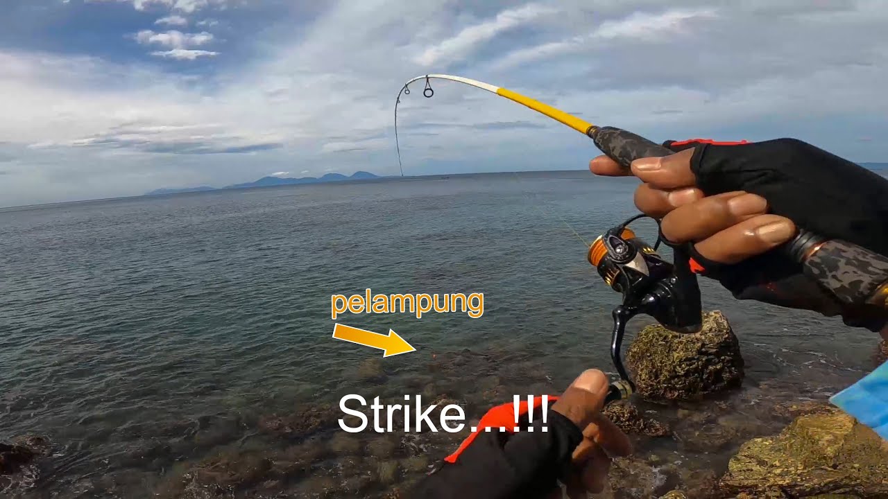 Ikan Besar dan Kecil Semua Dapat, Umpan Udang Mati Pakai Pelampung di Pinggir Laut