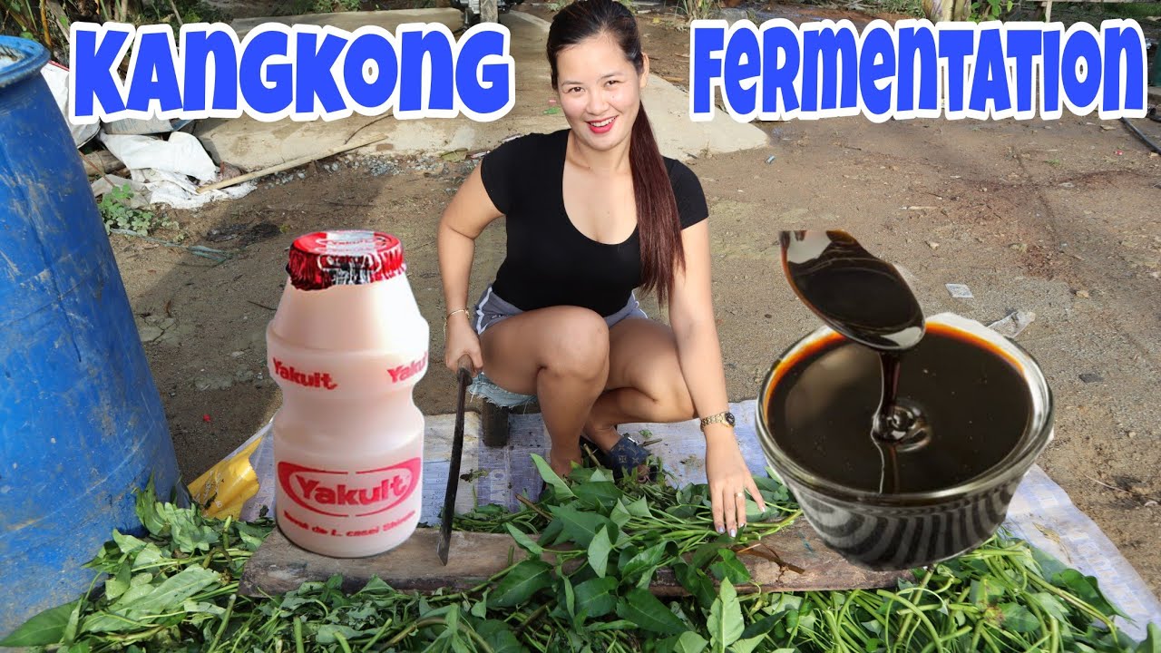FERMENTATION OF Kangkong Using Molasses & Yakult || Pakain sa mga baboy ko 🤗 My own style