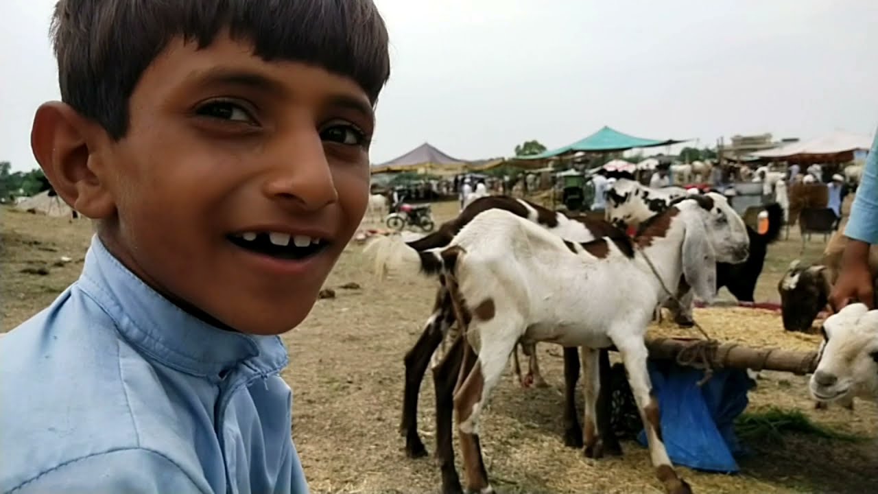 Eid al-Adha 