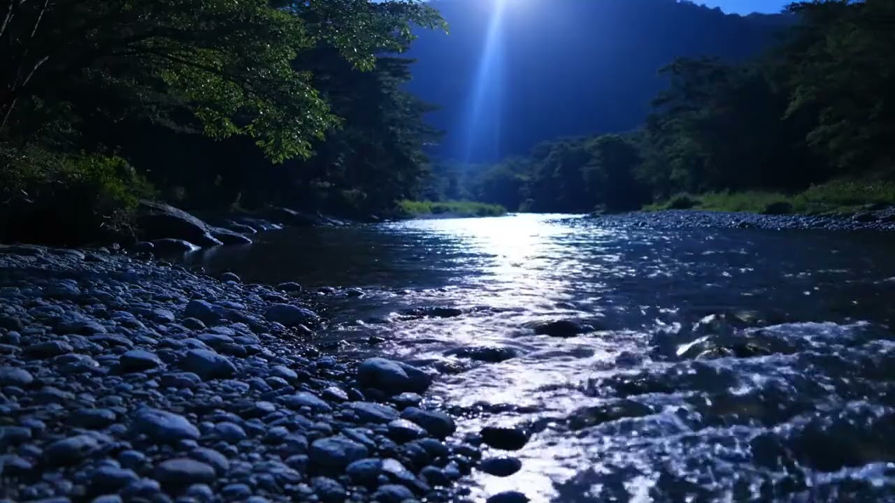 4K Woodland Creek ASMR | Natural Flowing Water Sounds for Sleep & Calm