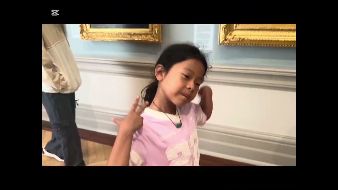 Going to the art gallery of New South Wales with my family 