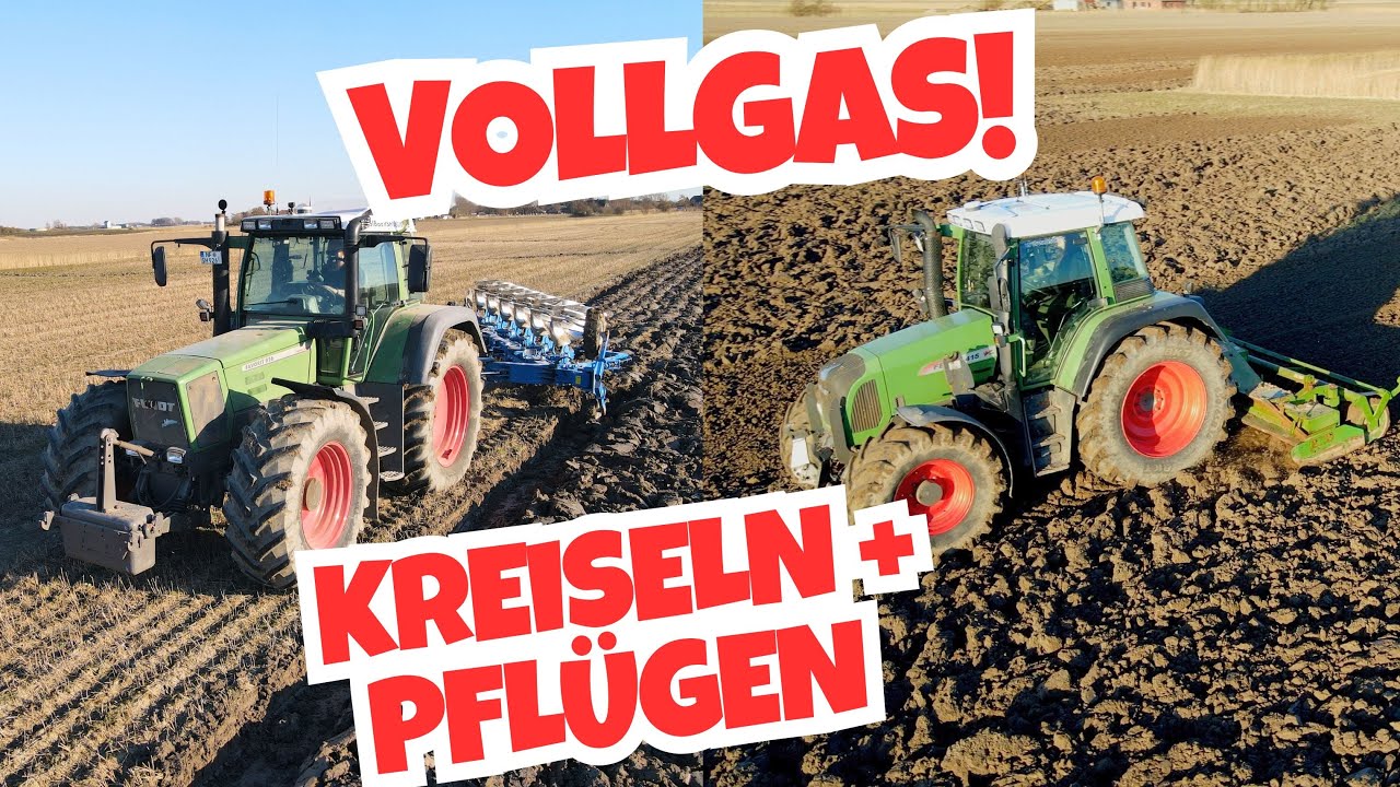 6 Schar Rabe Kormoran im Volleinsatz - FarmVLOG#1075