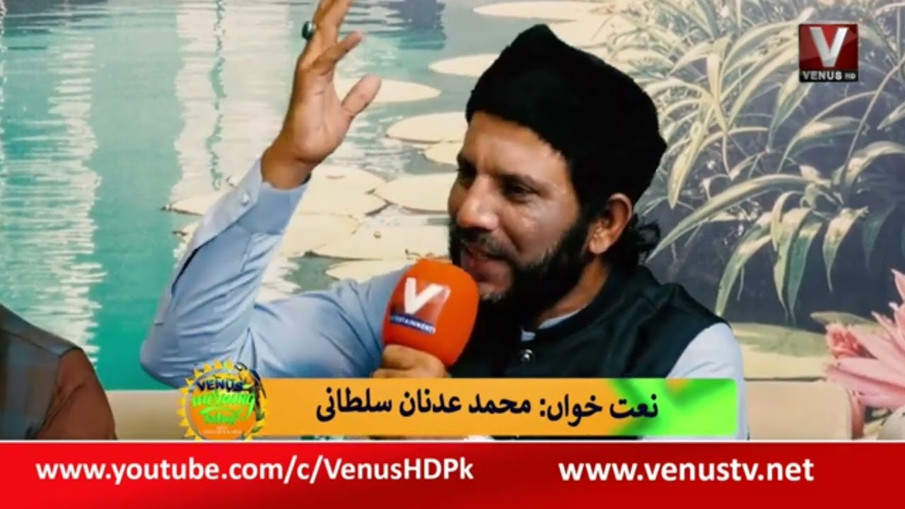 💛Mere Nabi se Mera rishta 💛Naat Shareef 💙 Muhammad Adnan Sultani VENUS CHANNEL HD 