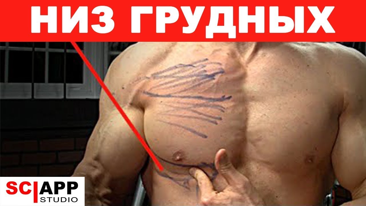 Как Действительно Проработать Низ Грудных. Упражнение | Джефф Кавальер