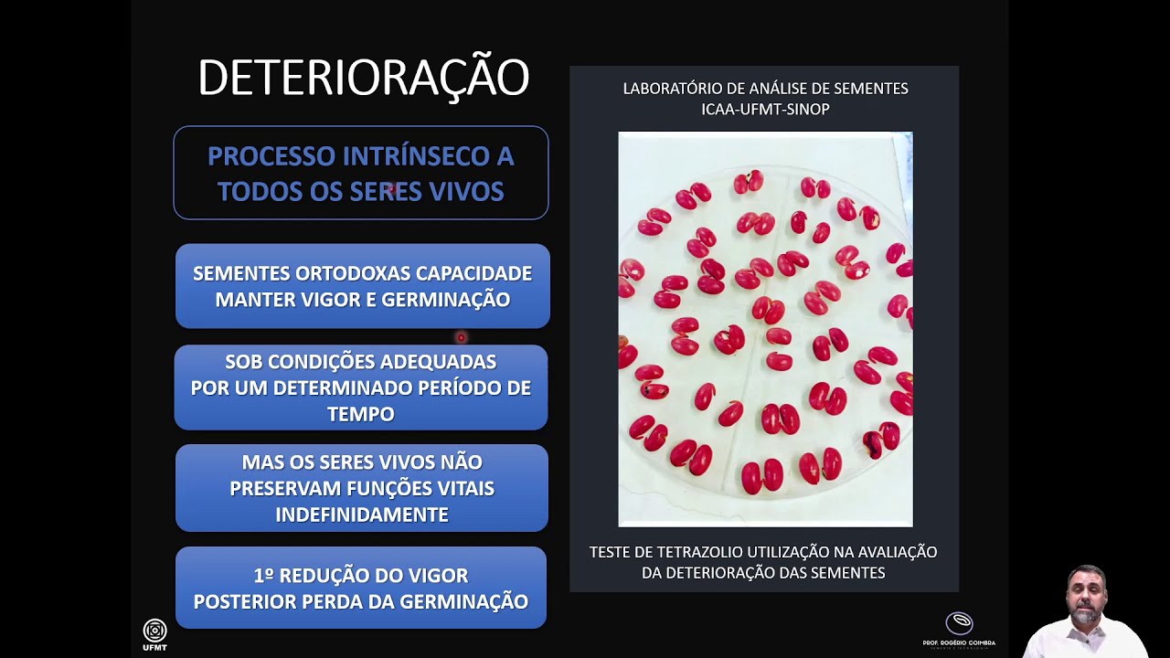 AULA 08 DETERIORAÇÃO DE SEMENTES - PROF. ROGÉRIO COIMBRA