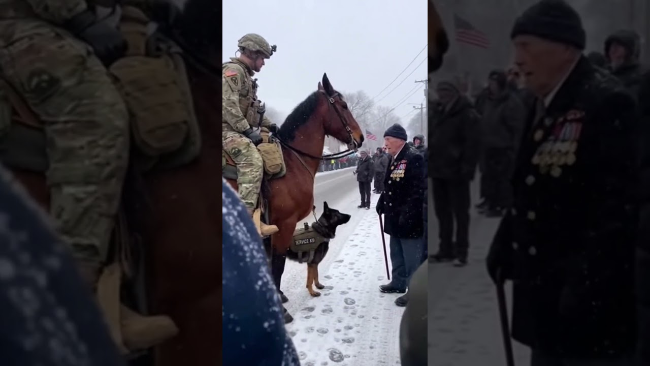 Elite Military Horse and K9 Dog in the world 😍