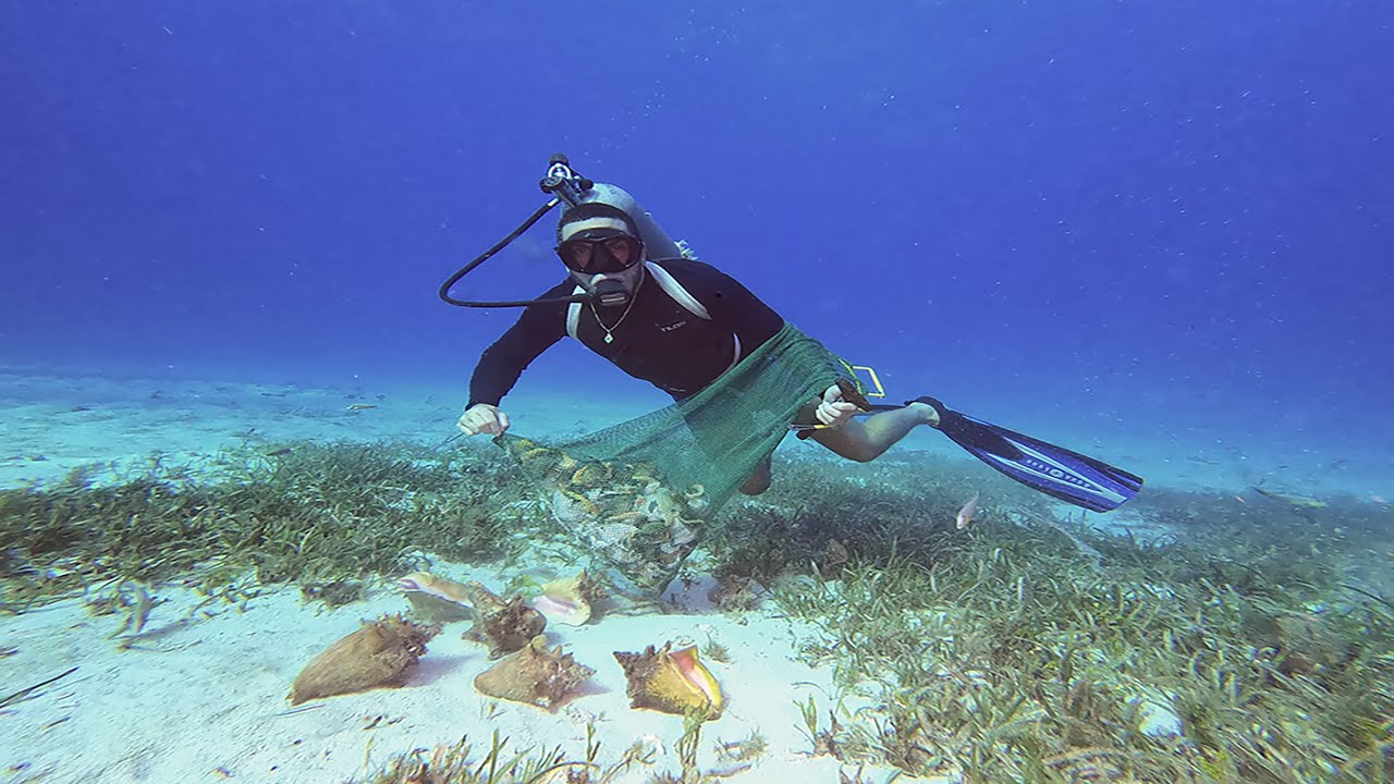 Pescando Carrucho
