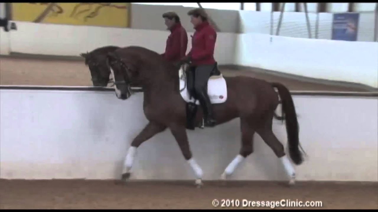 DressageClinic.com Presents Ulla Salzgeber Riding & Lecturing Wakana sample 6142010