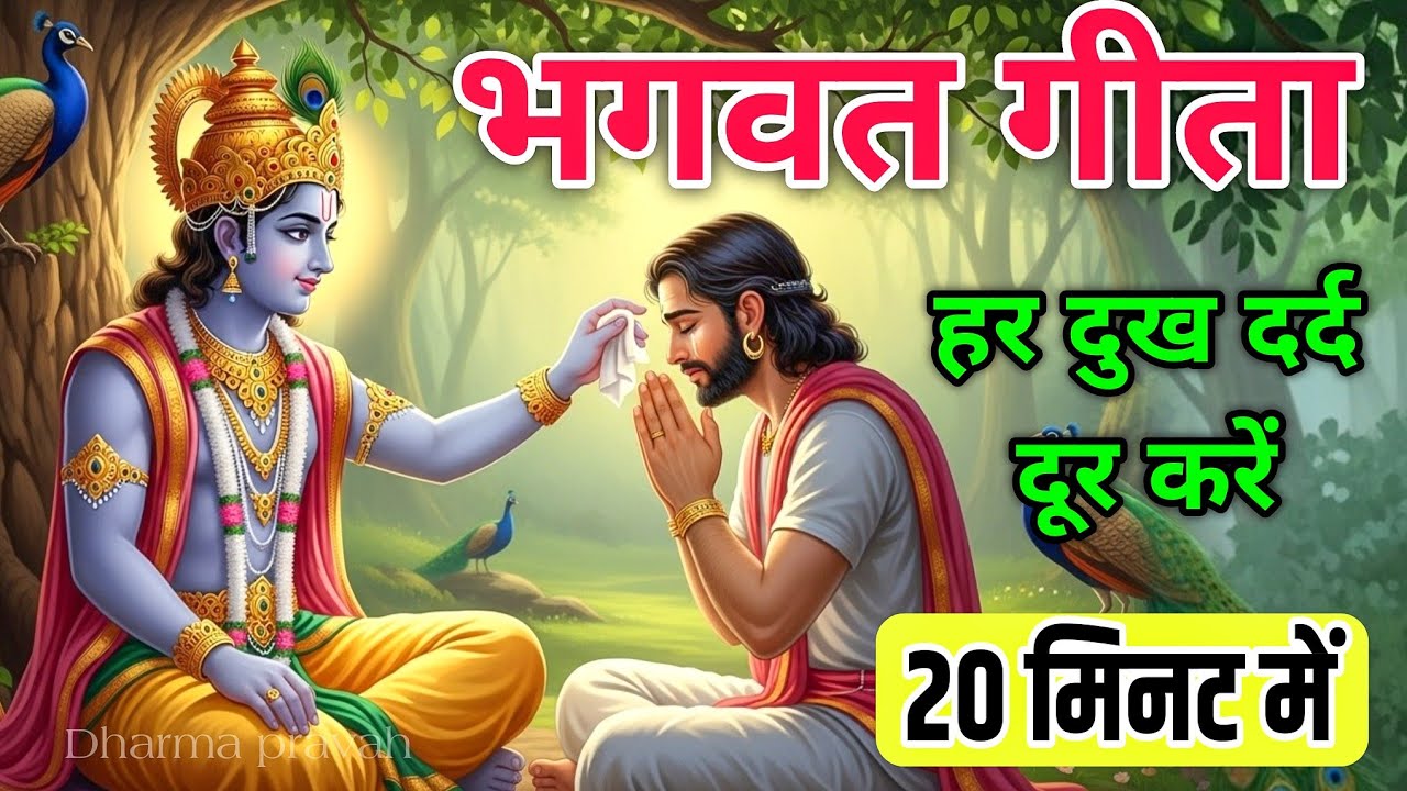 Bhagwat Geeta Saar 20 minute | Shrimad Bhagwat Gita | संपूर्ण गीता सार Geeta Saar | dharma pravah
