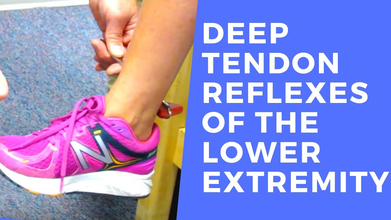 Deep Tendon Reflexes of the Lower Extremities