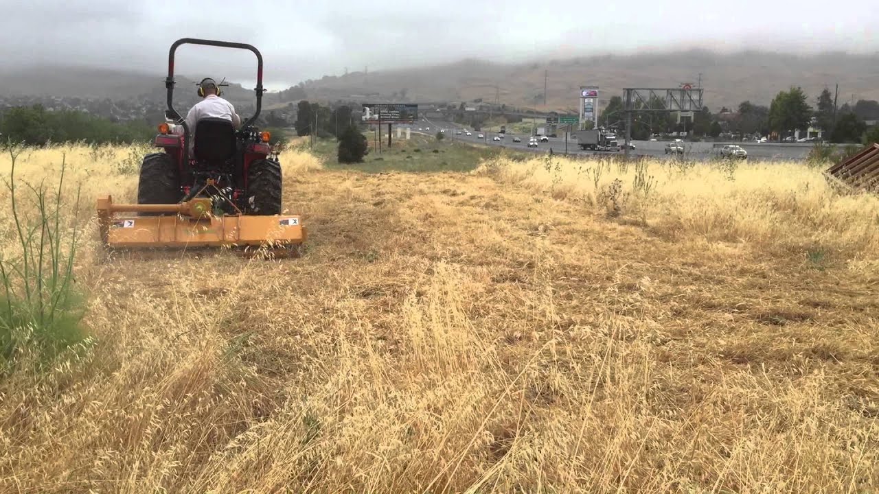 Benicia Ca. Weed abatement
