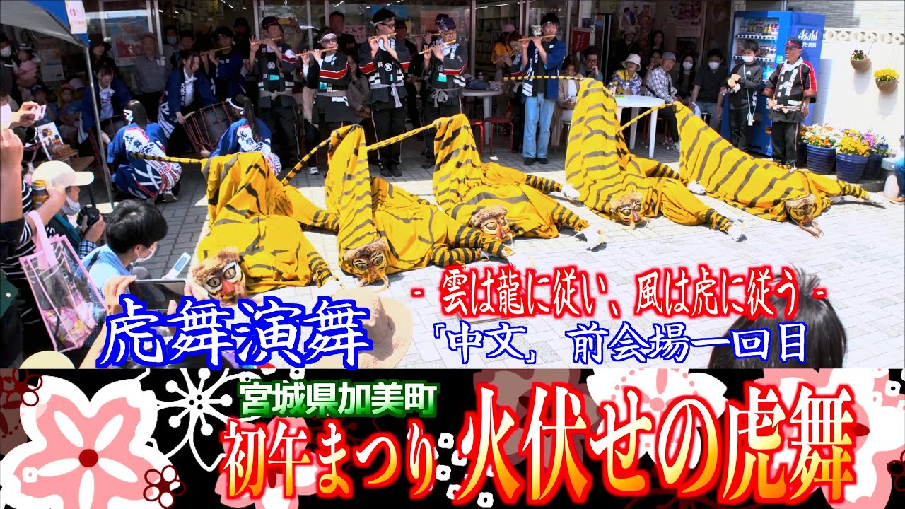 04 虎舞演舞 「中文前」会場一回目 - 初午まつり 火伏せの虎舞- 2024 宮城県加美町中新田 2024/04/29